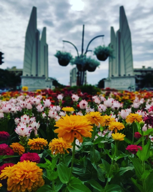 Flowers in Thailand